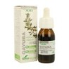 SORIA NATURAL EXTRACTO GAYUBA 50 ML