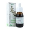 SORIA NATURAL EXTRACTO GAYUBA 50 ML