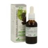SORIA NATURAL EXTRACTO GROSELLERO NEGRO 50 ML