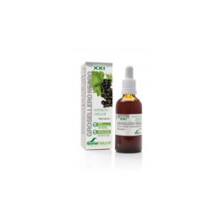 SORIA NATURAL EXTRACTO GROSELLERO NEGRO 50 ML
