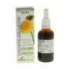 SORIA NATURAL EXTRACTO DIENTE LEON 50 ML