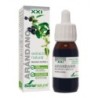 SORIA NATURAL EXTRACTO DE ARANDANO 50 ML