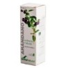 SORIA NATURAL EXTRACTO DE ARANDANO 50 ML
