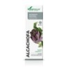 SORIA NATURAL EXTRACTO DE ALCACHOFA 50 ML