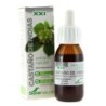 SORIA NATURAL EXTRACTO CASTAÑO INDIAS 50 ML