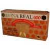 ROBIS REINA REAL MEMORIA 20 AMPOLLAS