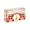 ROBIS REINA REAL 1000 MG 20 AMPOLLAS