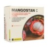 MANGOSTAN C 20 STICKS