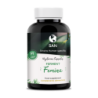 SAN PROBIOTIC FERMENT FEMINA 14 CAPSULAS