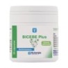 NUTERGIA BICEBE PLUS 30 CAPSULAS