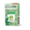 RICOLA CARAMELO EUCALIPTO S/AZUCAR 50 GR