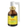 ESI PROPOLGOLA SPRAY JENGIBRE-LIMON 20 ML