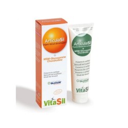VITASIL ARTICULASIL GEL MSM 225 ML