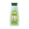 LINEA VERDE CHAMPU SUAVIZANTE FLOR NARANJO 350 ML
